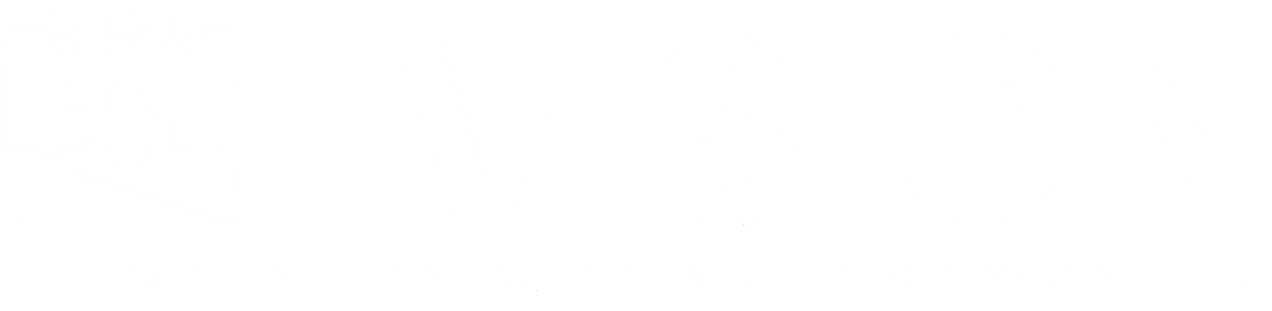 Logo E-VISION